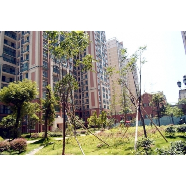 湖南新金鴻置業.蝴蝶谷-湖南電梯工程